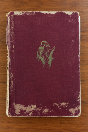 Handbuch der deutschen Vogelkunde (Band II)